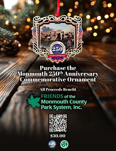 ornament flyer ornament flyer